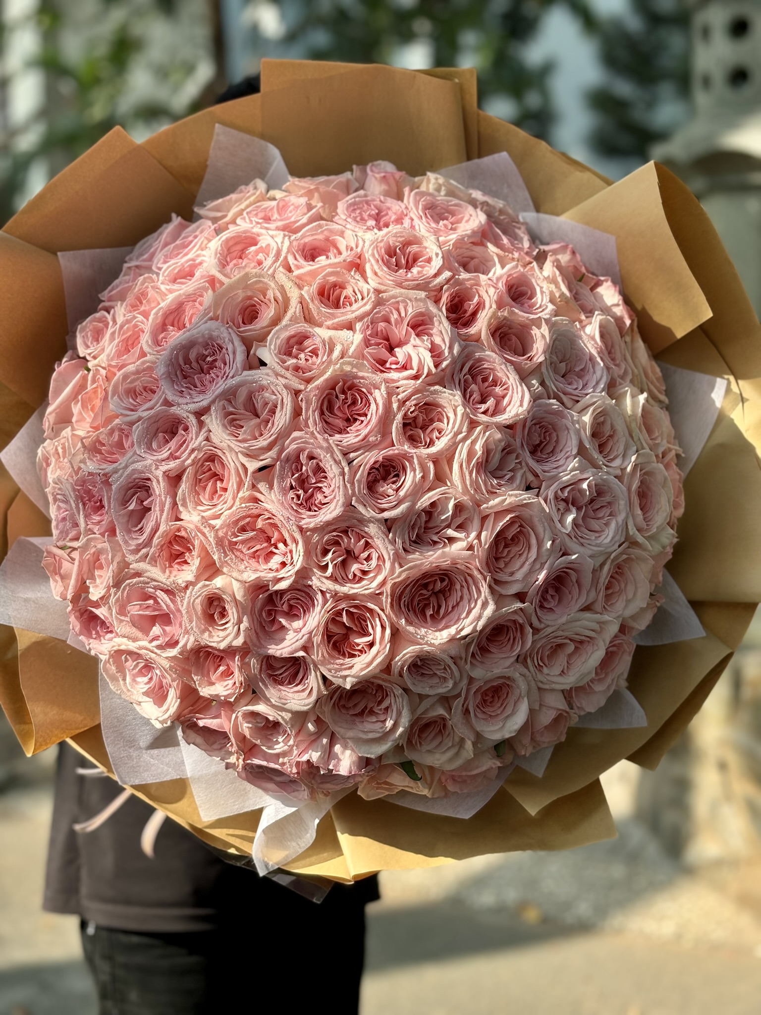 Bó Hoa Hồng Ohara Pastel – Ngọt Ngào & Tinh Tế