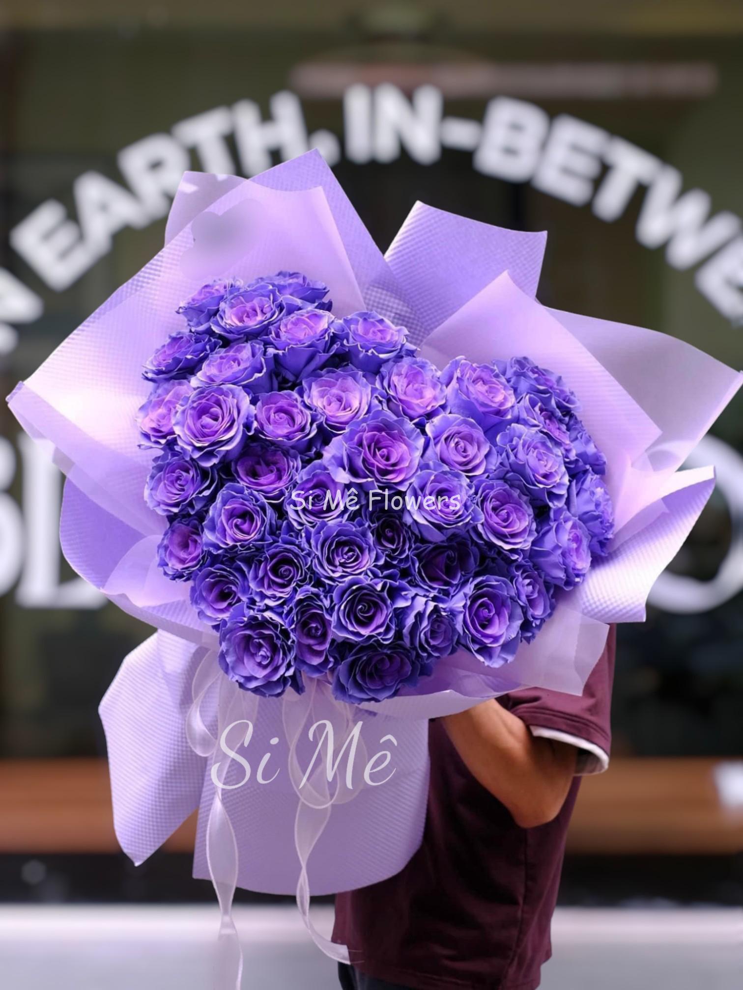 z5126334715386_fbe931ec29f14c30908782c926718211-Photoroom