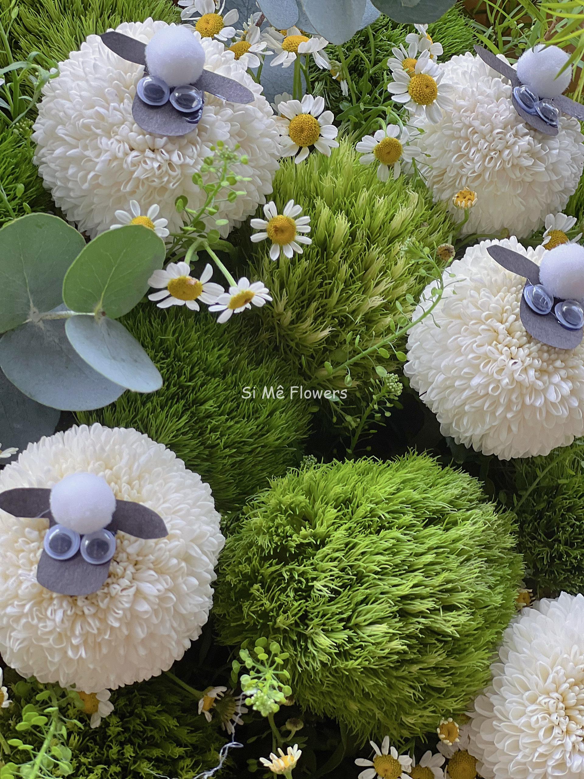 z5512913264727_da5518a0357e42d0d2aeeb1f9fb2b1e9