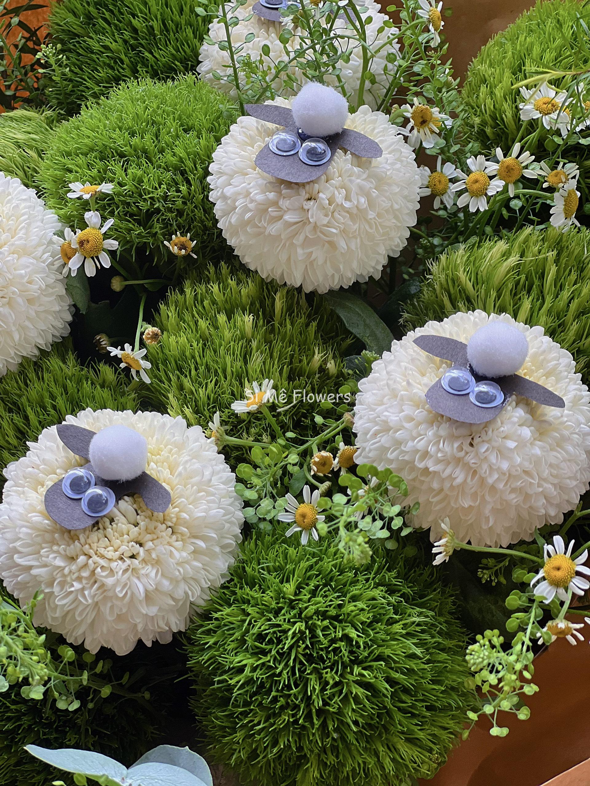 z5512913273556_9200c0f00fd594d94be18dc1f8a37492