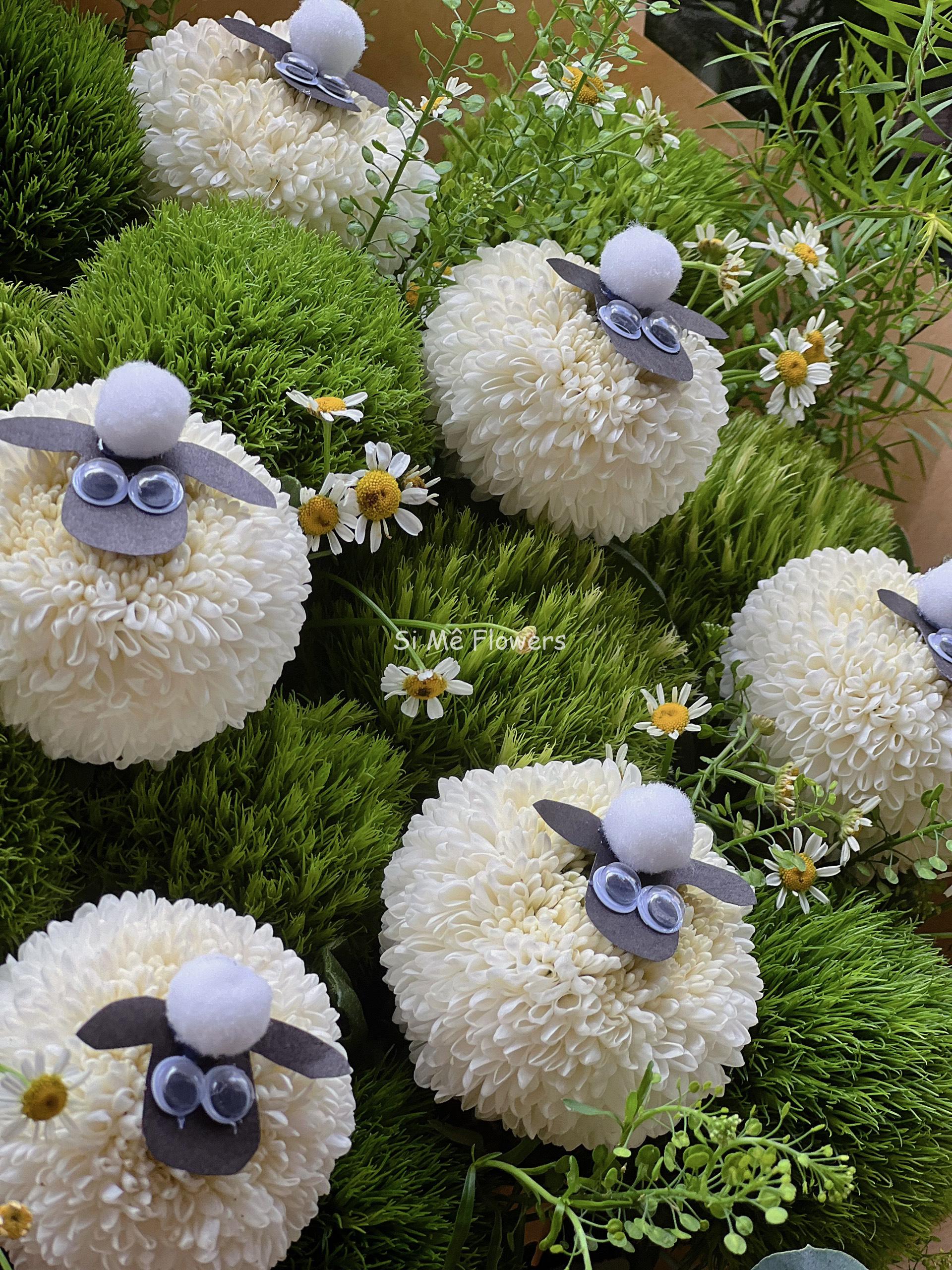 z5512913293376_fea7579cc8e685e43460d94d1315ba22