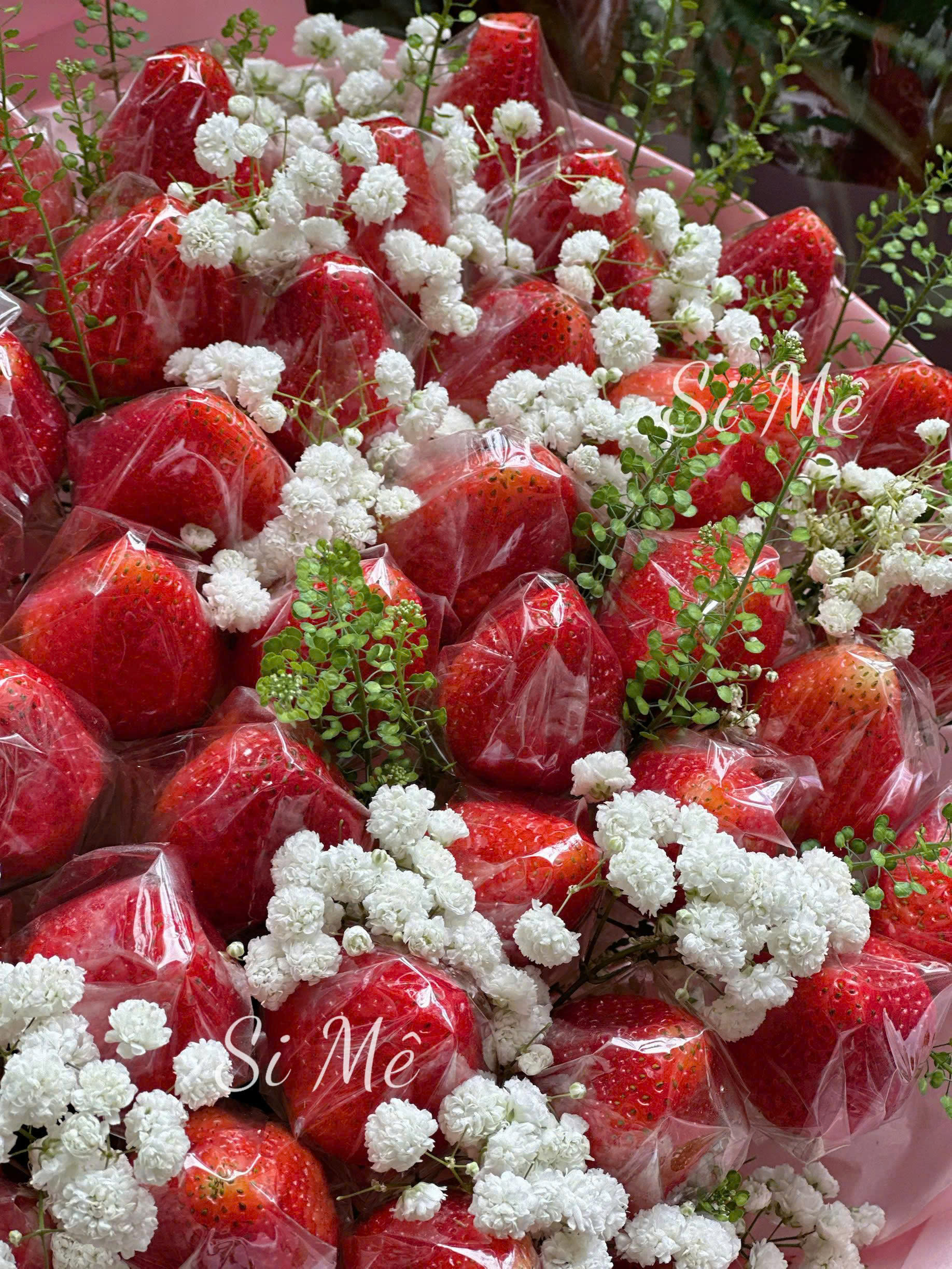 z6702179829146_50540915c182eff126951d54c3c60096