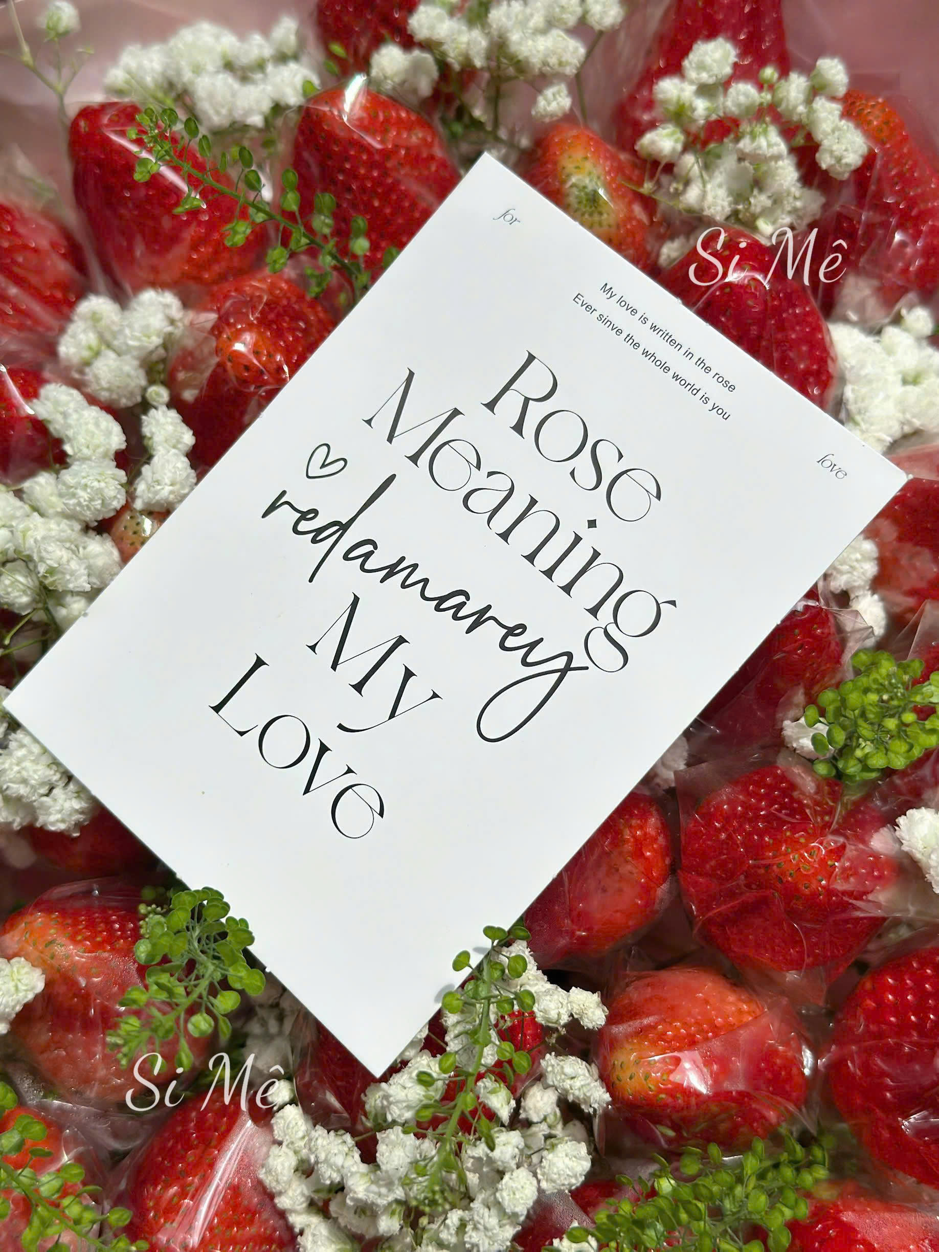 z6711867572732_b51bc47774ca1266b4debfd0dc42fd07