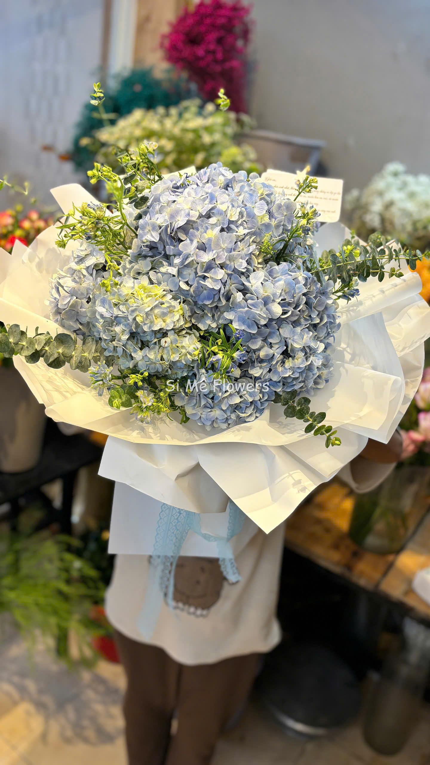 Bó Hoa Cẩm Tú Cầu Xanh Dương Mix Lá Bạc – Tinh Khôi & Mộng Mơ Bó Hoa Cẩm Tú Cầu Xanh Dương Mix Lá Bạc – Tinh Khôi & Mộng Mơ