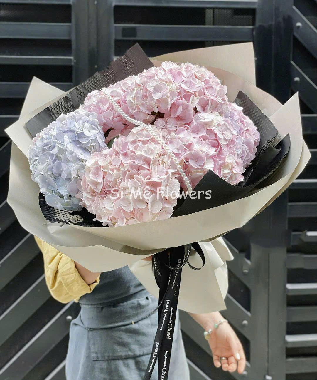 Cẩm Tú Cầu Nhập Khẩu Pastel – Dịu Dàng Cẩm Tú Cầu Nhập Khẩu Pastel – Dịu Dàng