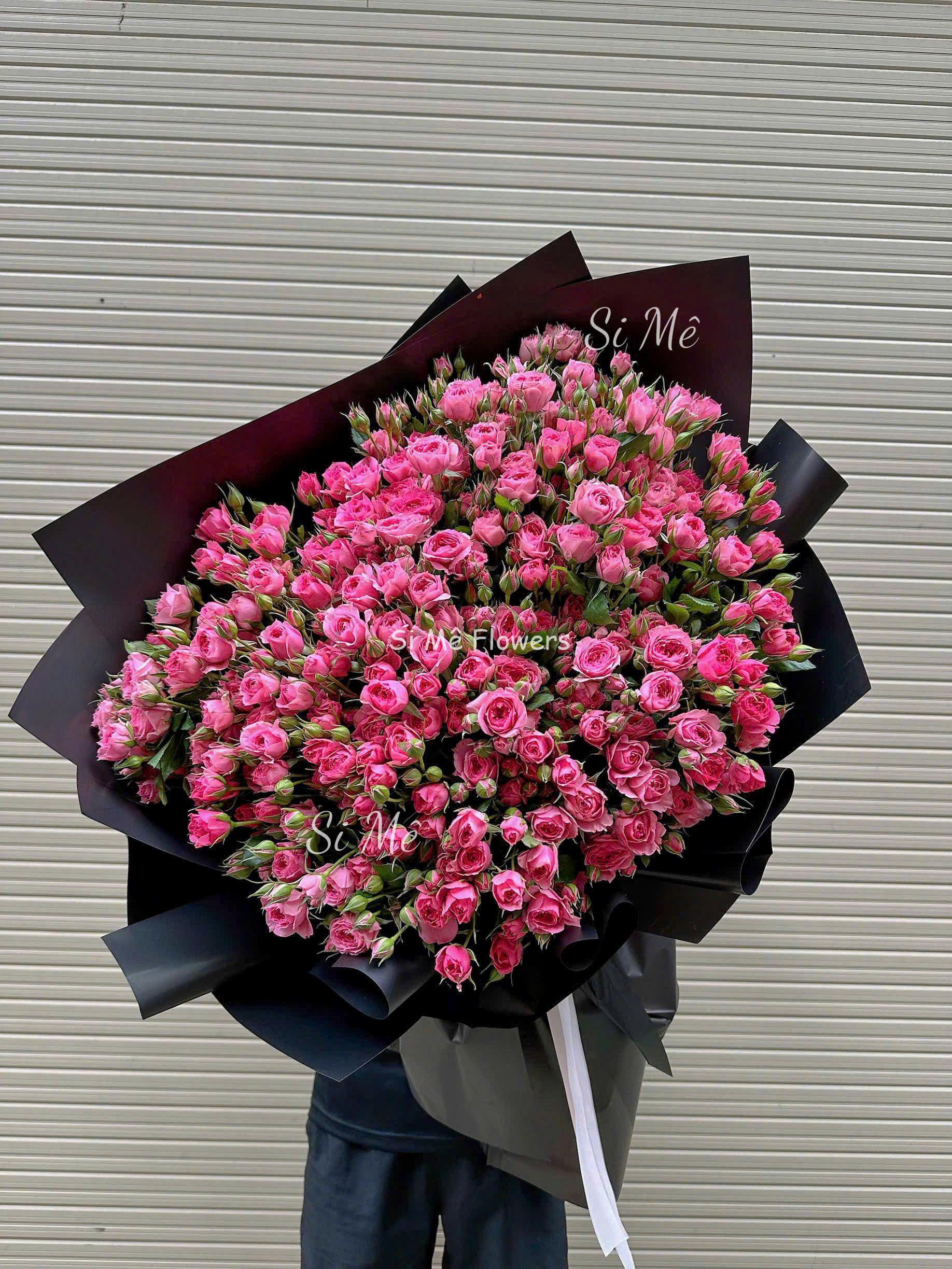 Hồng Chùm Sophia Ping Floyd – Ngọt Ngào & Rực Rỡ Hồng Chùm Sophia Ping Floyd – Ngọt Ngào & Rực Rỡ