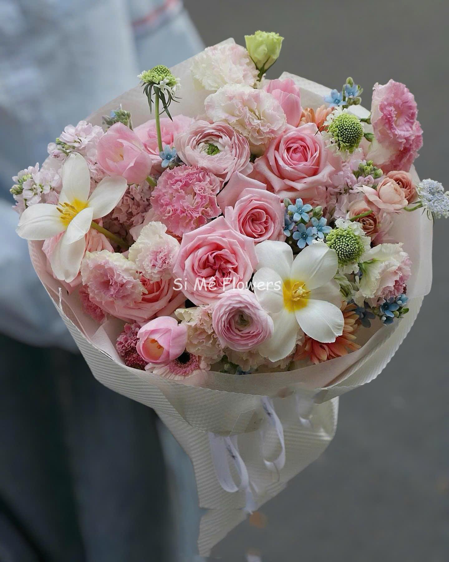 Tulip Hồng Pastel Mix Hồng Ohara, Cẩm Chướng