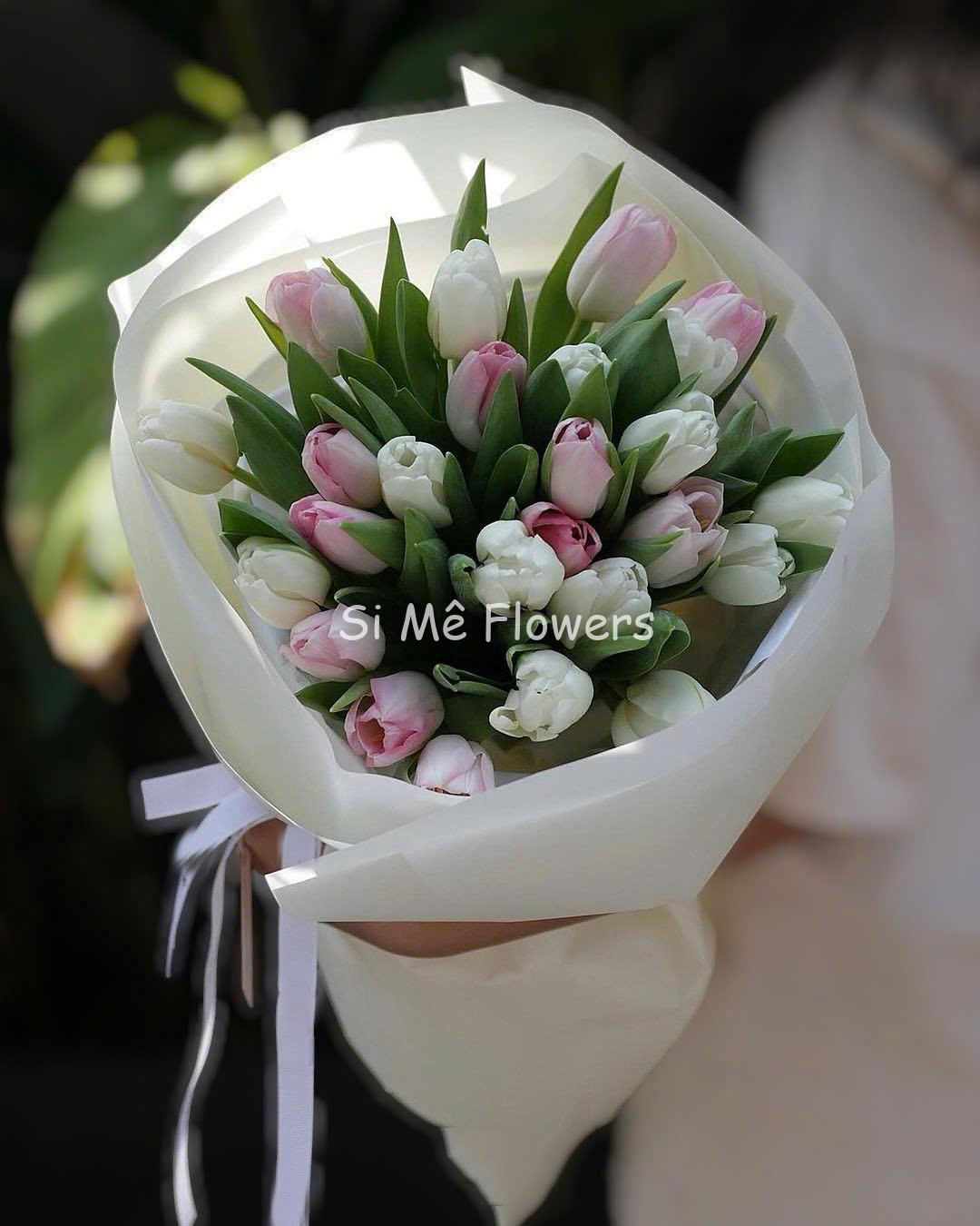 25 Tulip Hồng Mix Trắng – Thanh Khiết & Ngọt Ngào