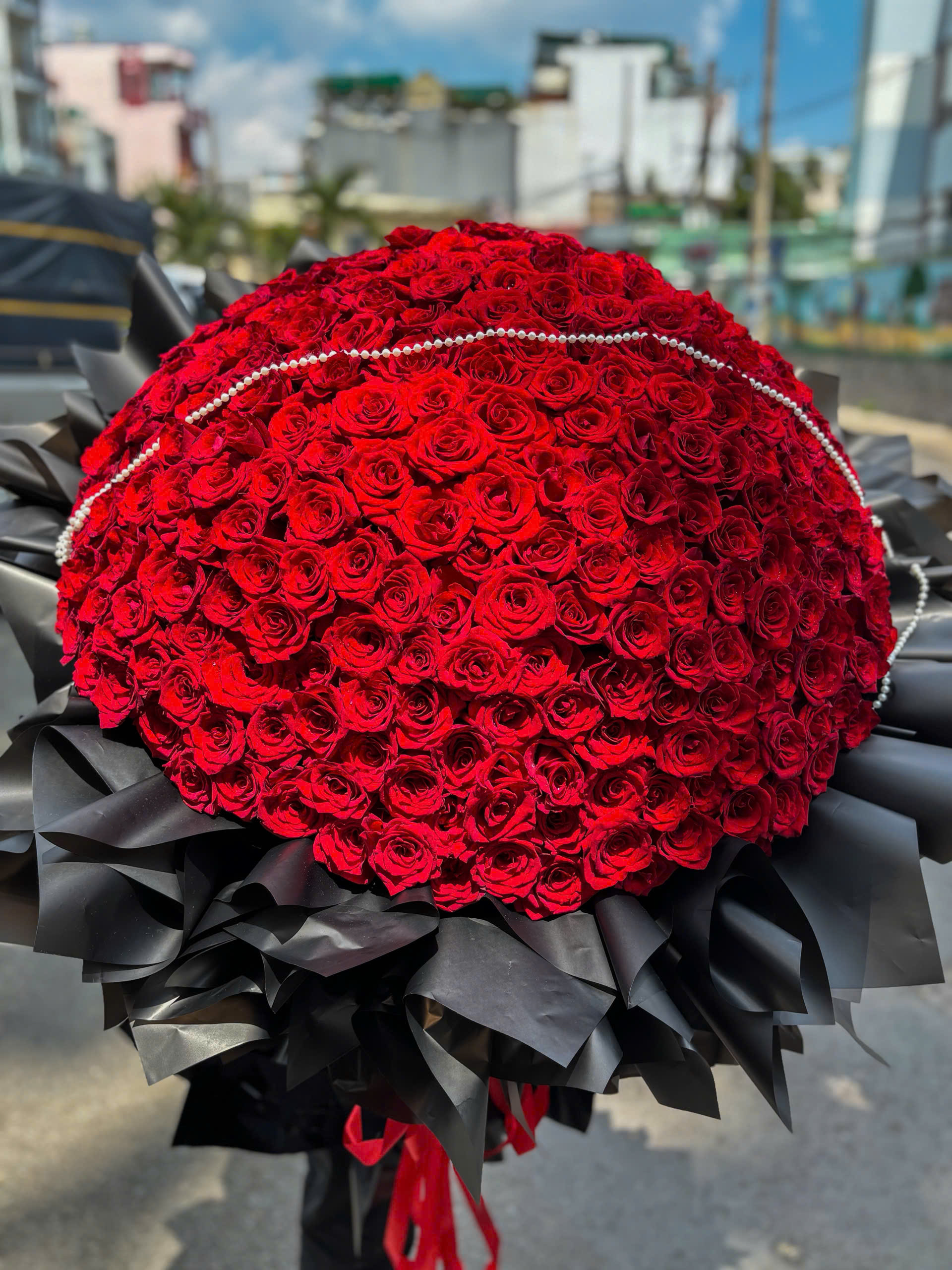 300 Hồng Ecuador Đỏ Đính Dải Ngọc – Đẳng Cấp & Sang Trọng